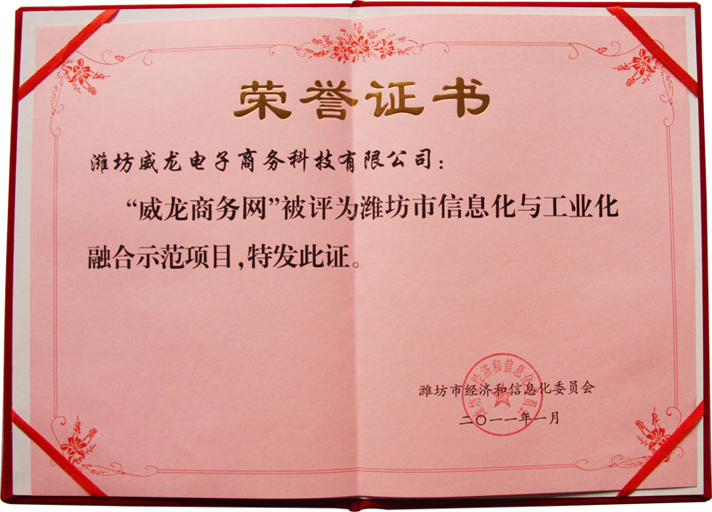 威龍公司喜獲濰坊市首批信息化與工業化融合優秀服務機構稱號