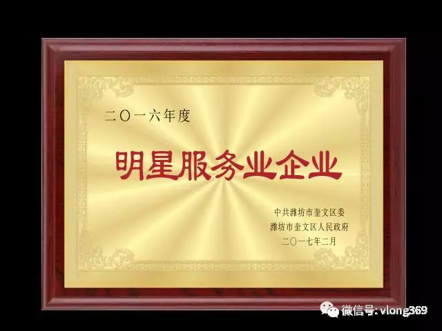 濰坊威龍電子商務科技有限公司獲得“2016年度明星服務業企業”稱號