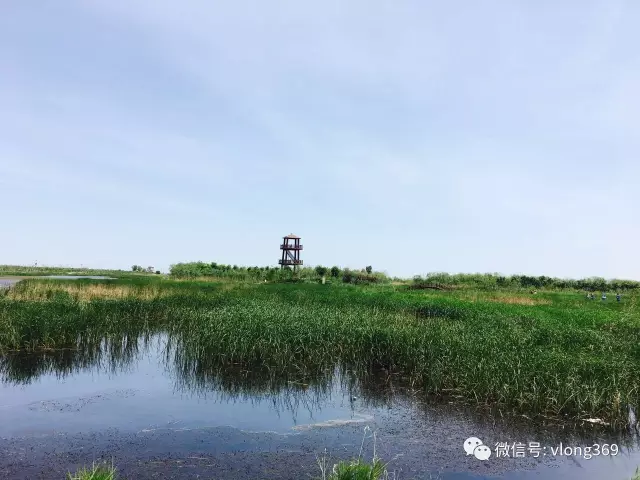 “威龍夏日行”之---禹王濕地燒烤