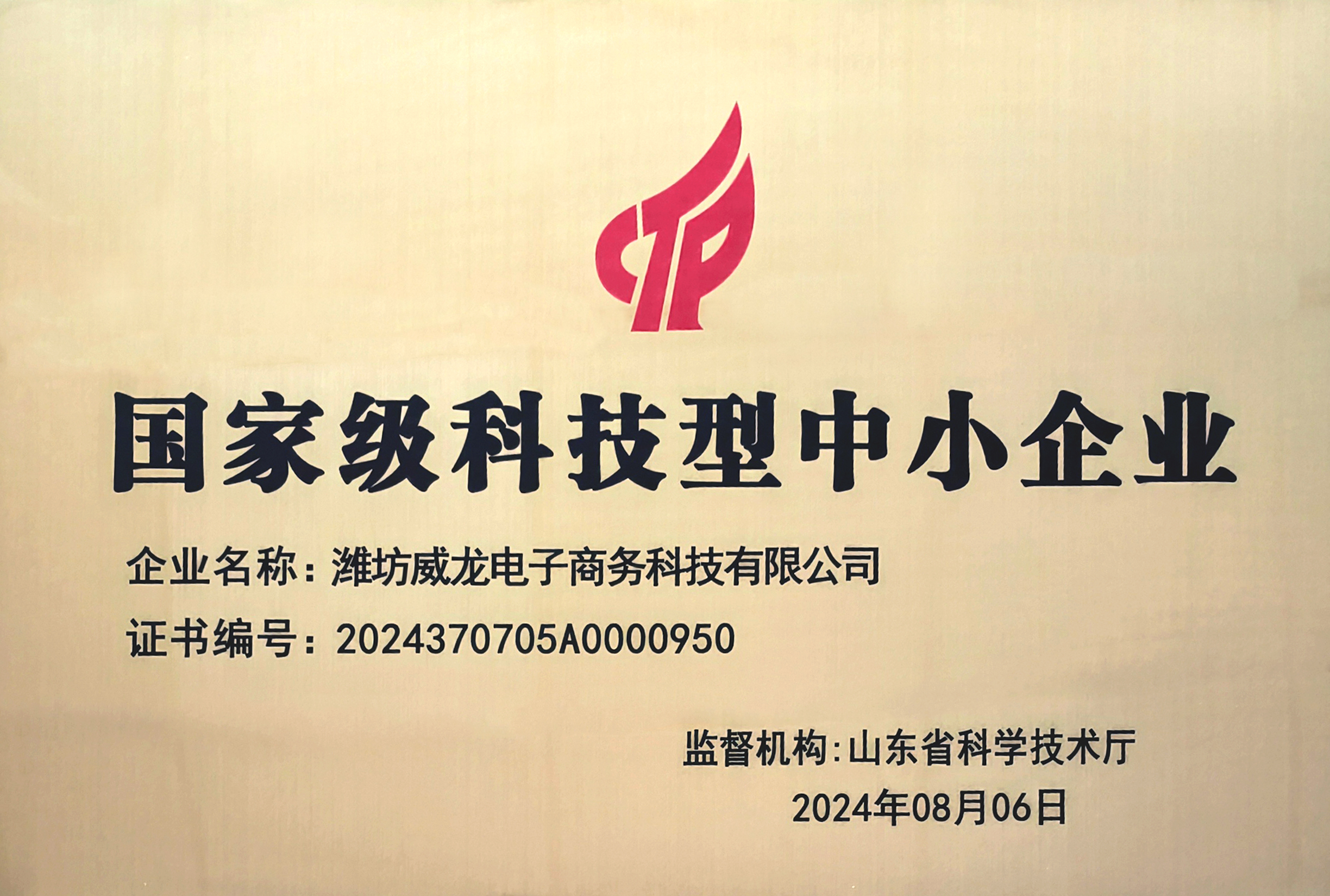 國家級科技型中小企業